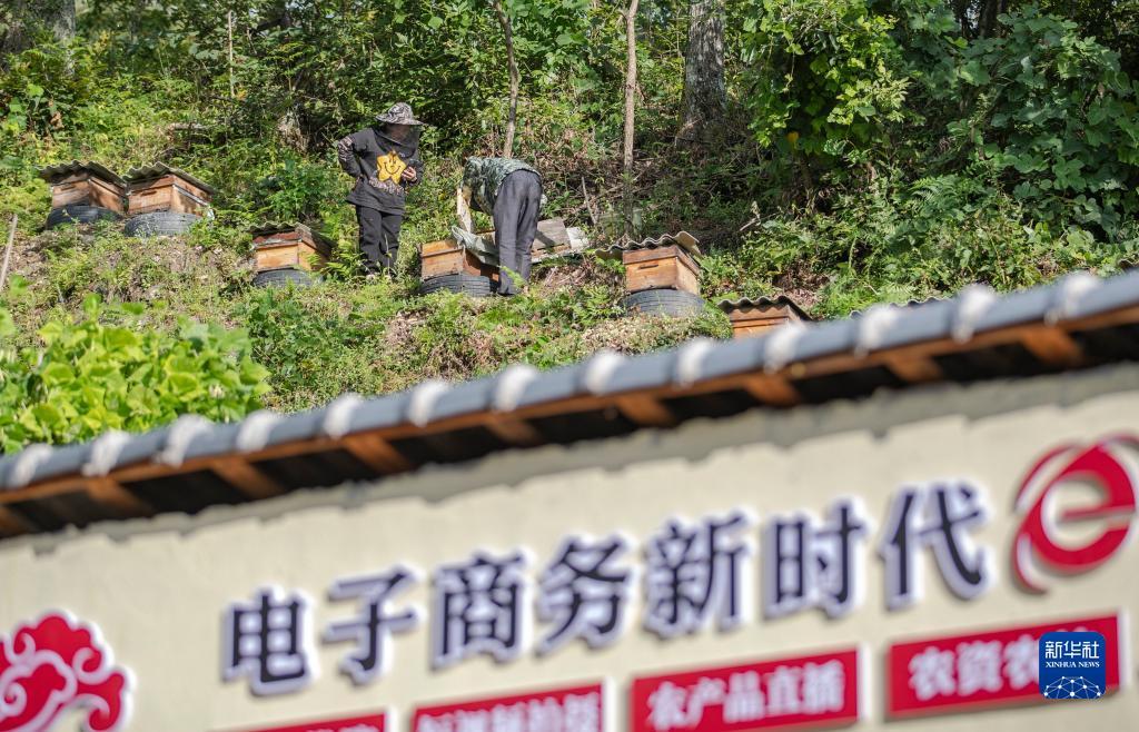 新濠天地平台注册